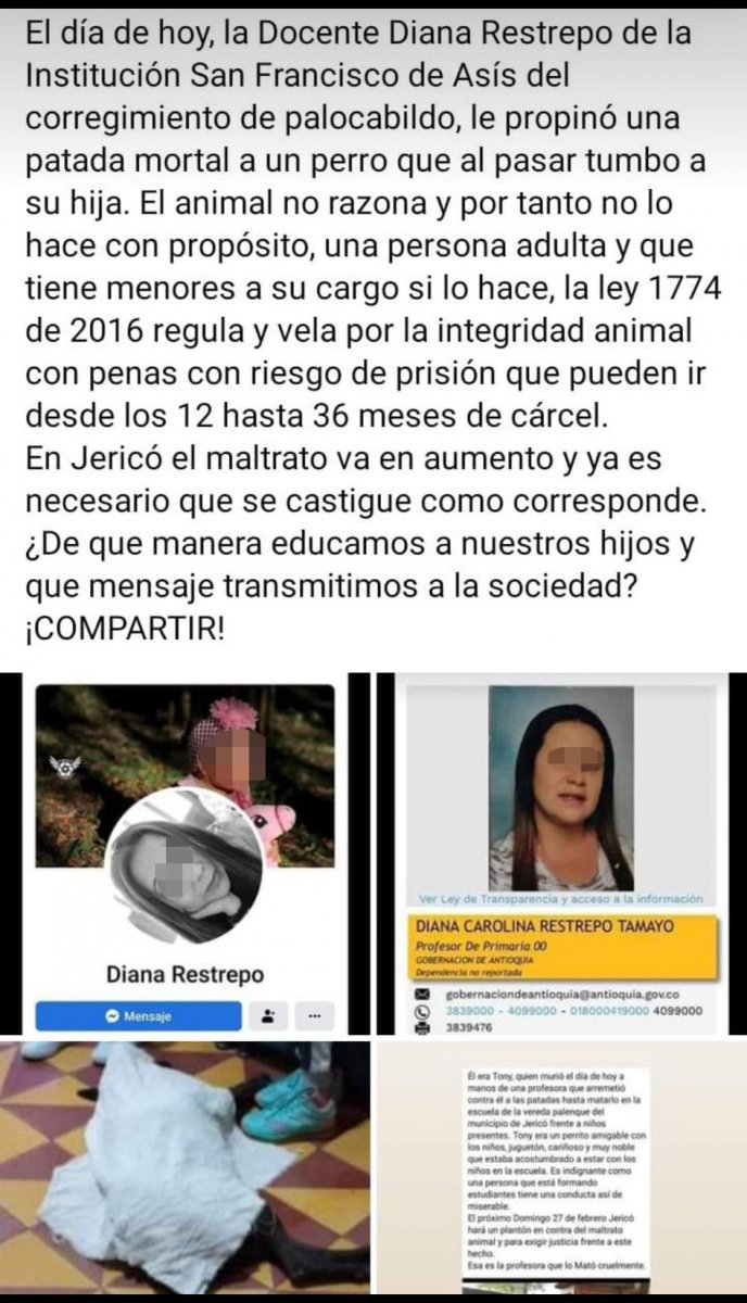 Denuncian que profesora mató a patadas a un perrito frente a sus alumnos Según la denuncia, un pequeño perro conocido como Tony murió tras ser agredido por una profesora delante de sus estudiantes.