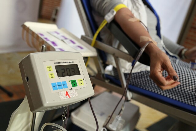 INS y MinSalud deberán modificar normas para no discriminar en donación de sangre El Ministerio de Salud y el Instituto Nacional de Salud (INS) tendrán que modificar los requisitos para donar sangre, para eliminar toda referencia que considere la orientación sexual o la identidad de género como grupos o factores de riesgo, determinó la Corte Constitucional.