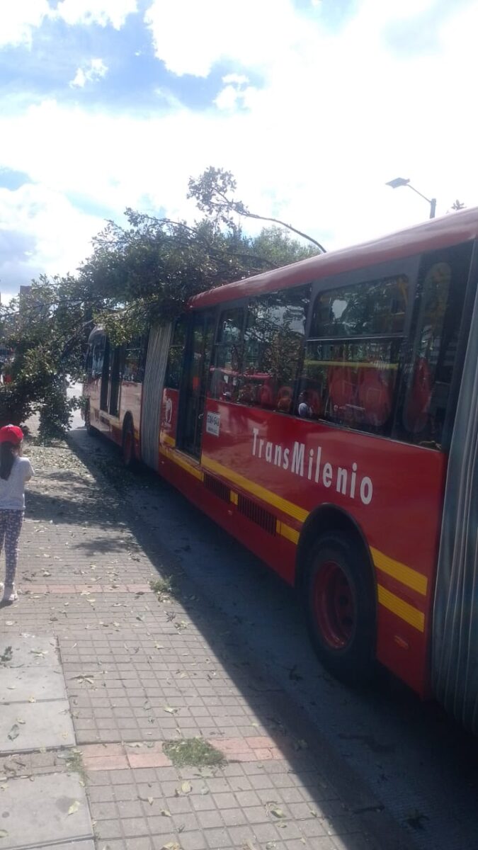 ¡Última hora! Estación de TransMilenio detiene funcionamiento por la caída de un árbol A esta hora se presentan afectaciones de movilidad sobre la Avenida Caracas debido a la caída de un árbol sobre un articulado de TransMilenio.