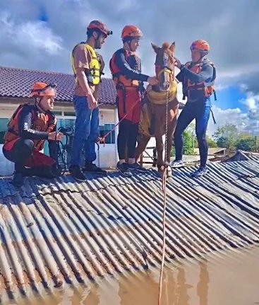Rescatan a caballo que quedó atrapado en el techo de una casa por inundaciones El caballo llevaba días en el techo, en medio de la inundación.