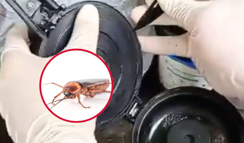 Tinto a la cucaracha: hallan esta plaga de insectos en termos En medio de una inspección, la Secretaría de Salud de Pereira encontró una plaga de cucarachas dentro de un termo de tinto.
