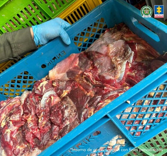 Judicializan a presuntos responsables del sacrificio de animales y comercialización ilegal de carne Los sujetos son señalados de comprar vacas, toros, caballos y búfalos muertos o enfermos para vender la carne en Bogotá y municipios de Boyacá.