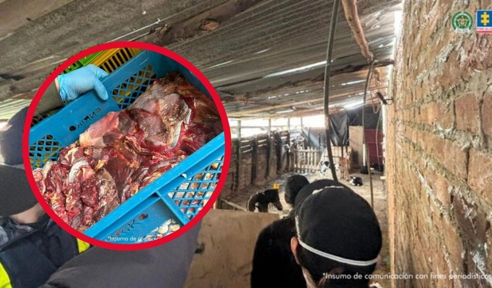 Judicializan a presuntos responsables del sacrificio de animales y comercialización ilegal de carne Los sujetos son señalados de comprar vacas, toros, caballos y búfalos muertos o enfermos para vender la carne en Bogotá y municipios de Boyacá.