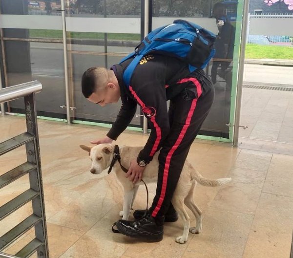 Conmovedor: operario de Transmilenio adoptó a perrito abandonado en una estación La mascota llegó a la estación El Campín, desde una articulado de TransMilenio que se diría para Suba.