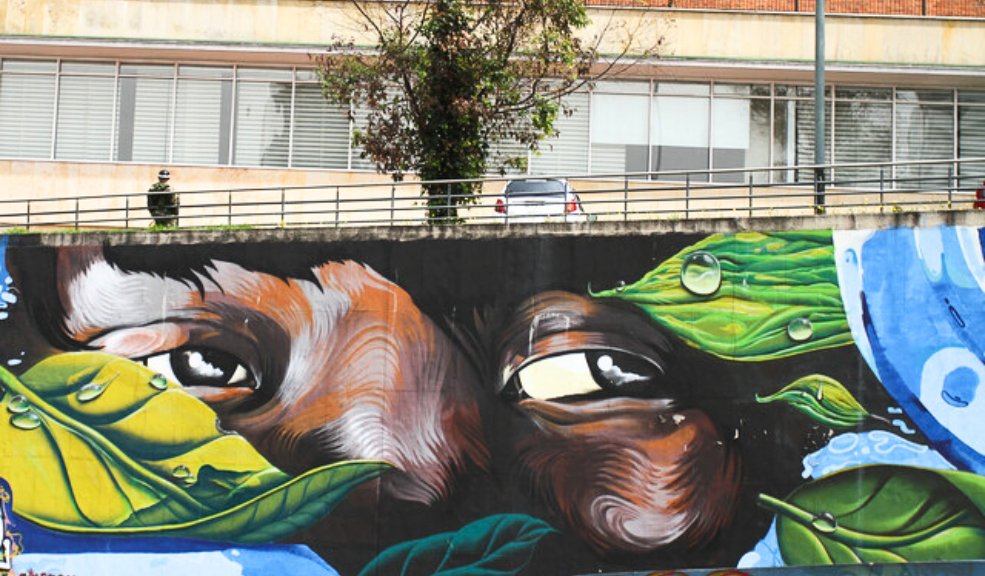 Distrito busca artistas que quieran plasmar sus graffitis en paraderos de Bogotá Los jóvenes con interés en el arte urbano, tendrán hasta este domingo para participar en la convocatoria y ver sus creaciones los diferentes paraderos de Sitp de Bogotá.