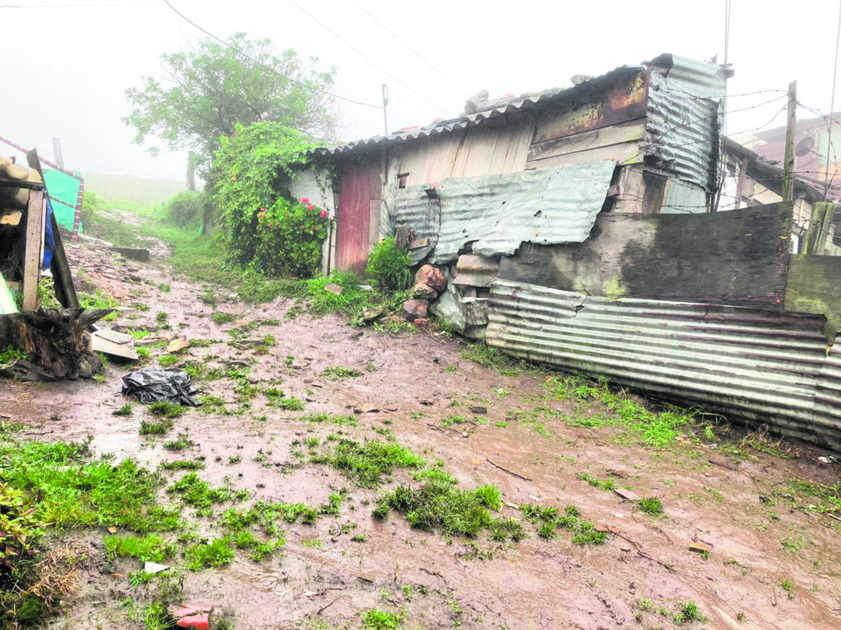 Ella era Carmen Cecilia, la mujer hallada muerta al interior de su vivienda en San Cristóbal Los residentes del barrio Villa Diana (en la localidad de San Cristóbal) se encuentran de luto tras la muerte repentina de la señora Carmen Cecilia Morales (60 años), quien fue encontrada en su vivienda en la tarde de este lunes.