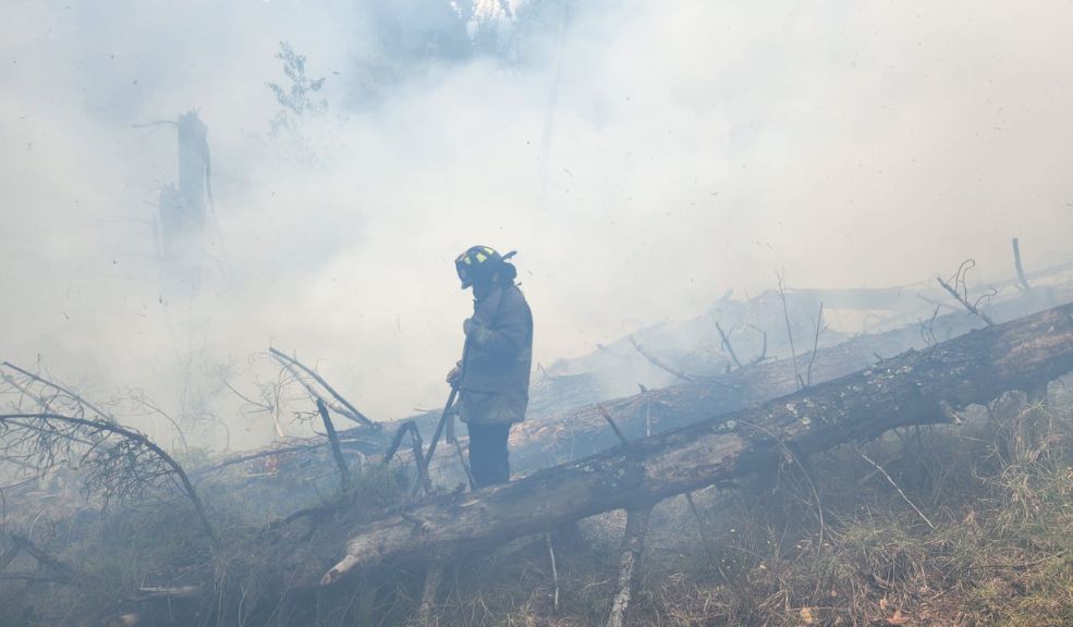 ÚLTIMA HORA: En este momento se presenta fuerte incendio en Soacha A esta hora se está registrando un fuerte incendio en el municipio de Soacha, exactamente en el sector de La Alameda, en San Mateo.