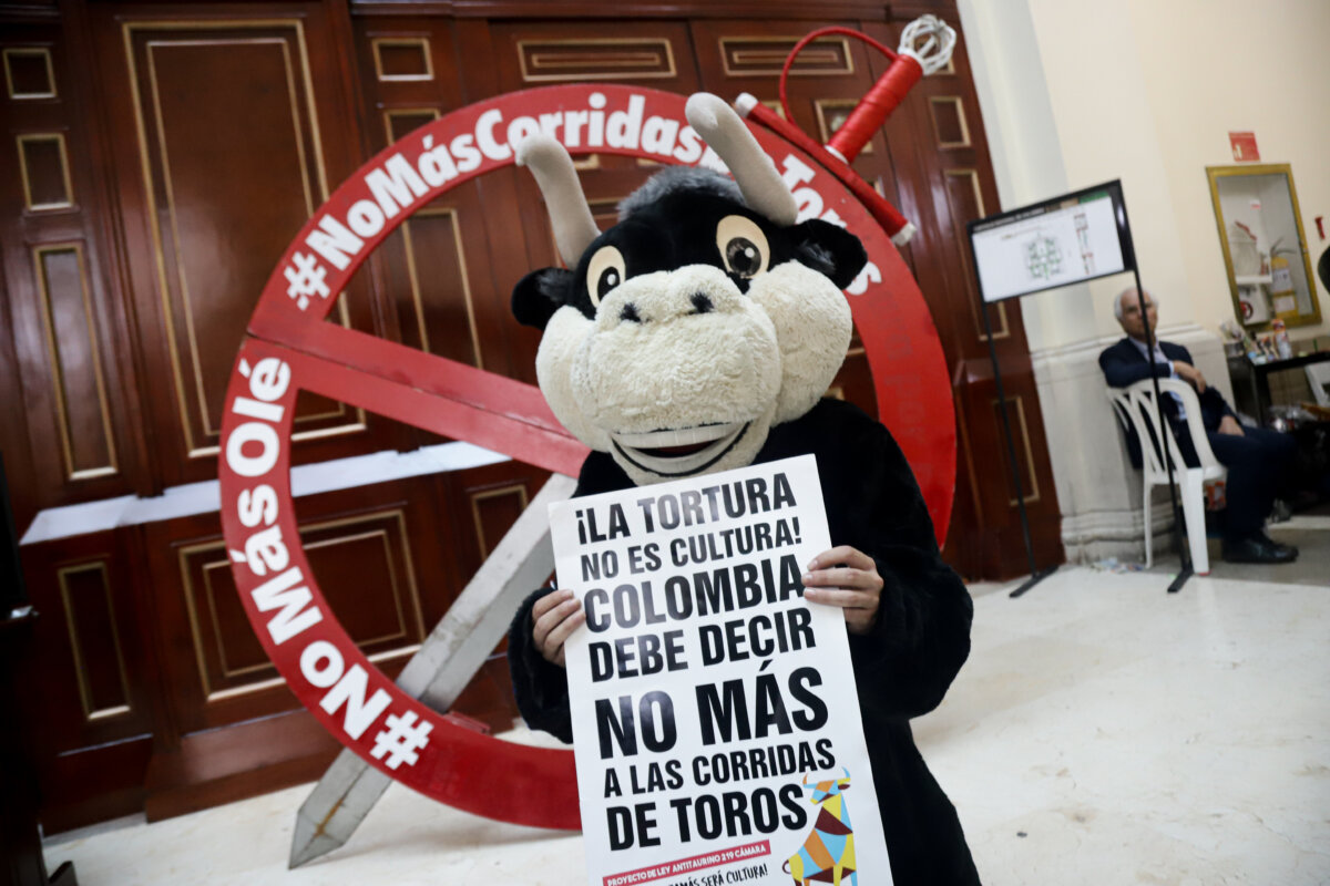 Gobierno sancionará hoy la ley que prohíbe las corridas de toros Este lunes se realizará por parte del Gobierno la sanción de la ley que prohíbe las corridas de toros en todo el país.