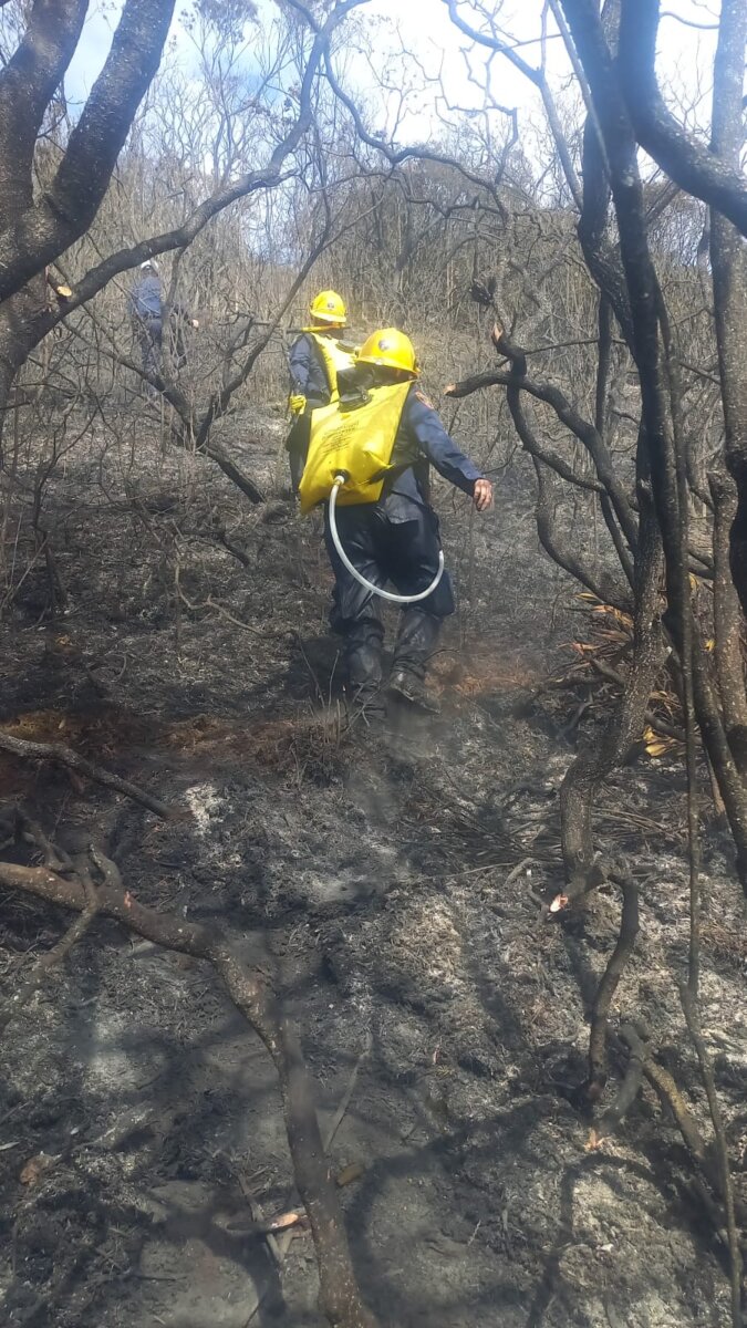 A esta hora: se registra incendio forestal en la vereda Tinzuque de Soacha Este 3 de agosto se registró un fuerte incendio forestal en la vereda de Tinzuque del vecino municipio de Soacha.