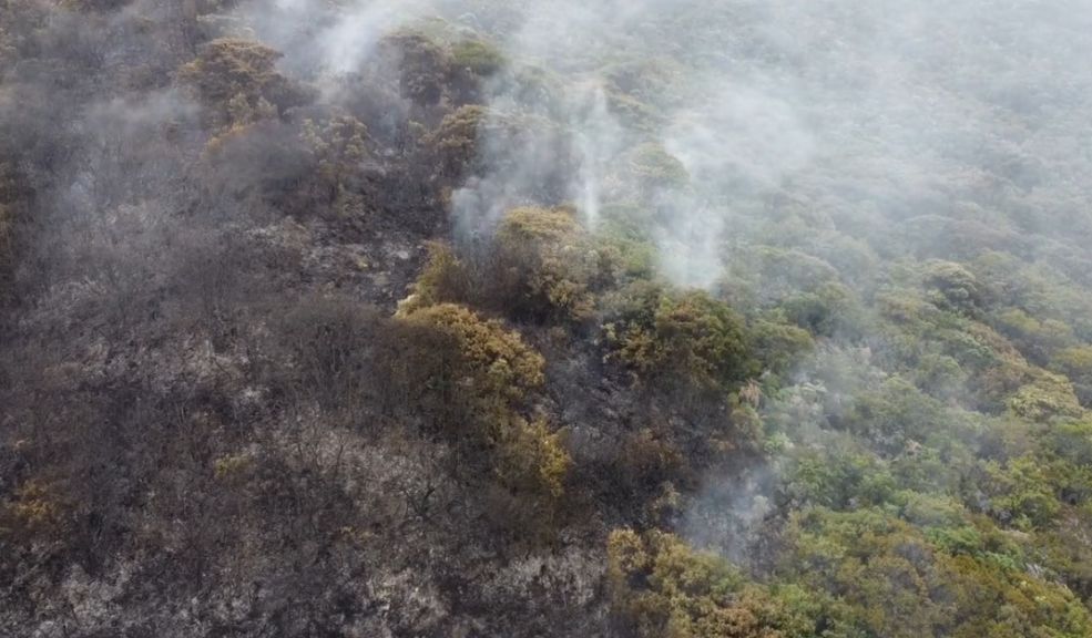 A esta hora: se registra incendio forestal en la vereda Tinzuque de Soacha Este 3 de agosto se registró un fuerte incendio forestal en la vereda de Tinzuque del vecino municipio de Soacha.