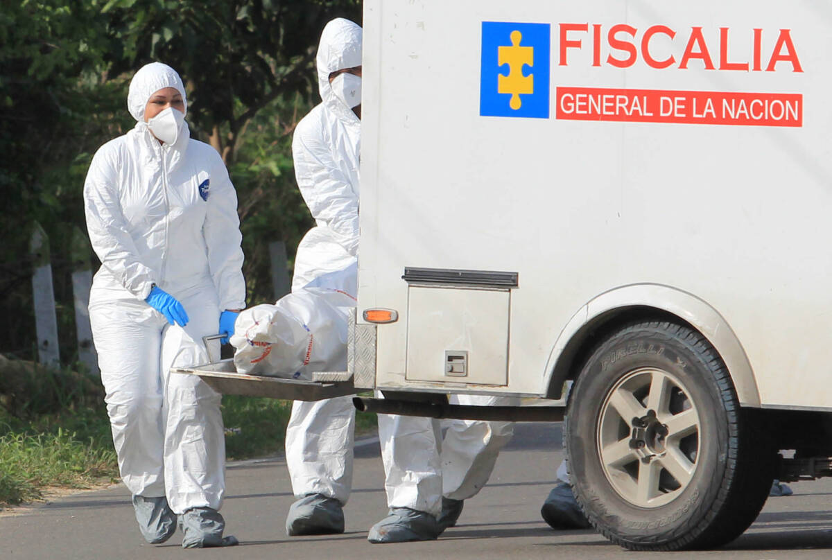 Hallan sin vida a un menor de edad en el humedal Juan Amarillo Un macabro hallazgo se registró en el humedal Juan Amarillo en la localidad de Suba.