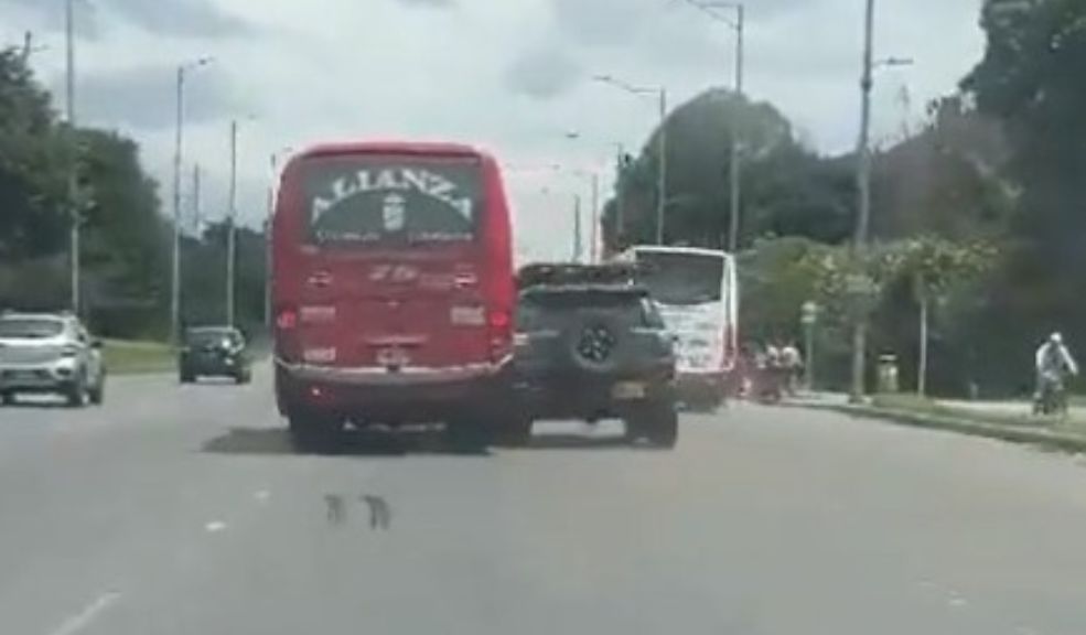 EN VIDEO: Peligrosa pelea entre conductores en plena vía pública Como "carritos chocones" llamaron la imprudencia de los conductores.