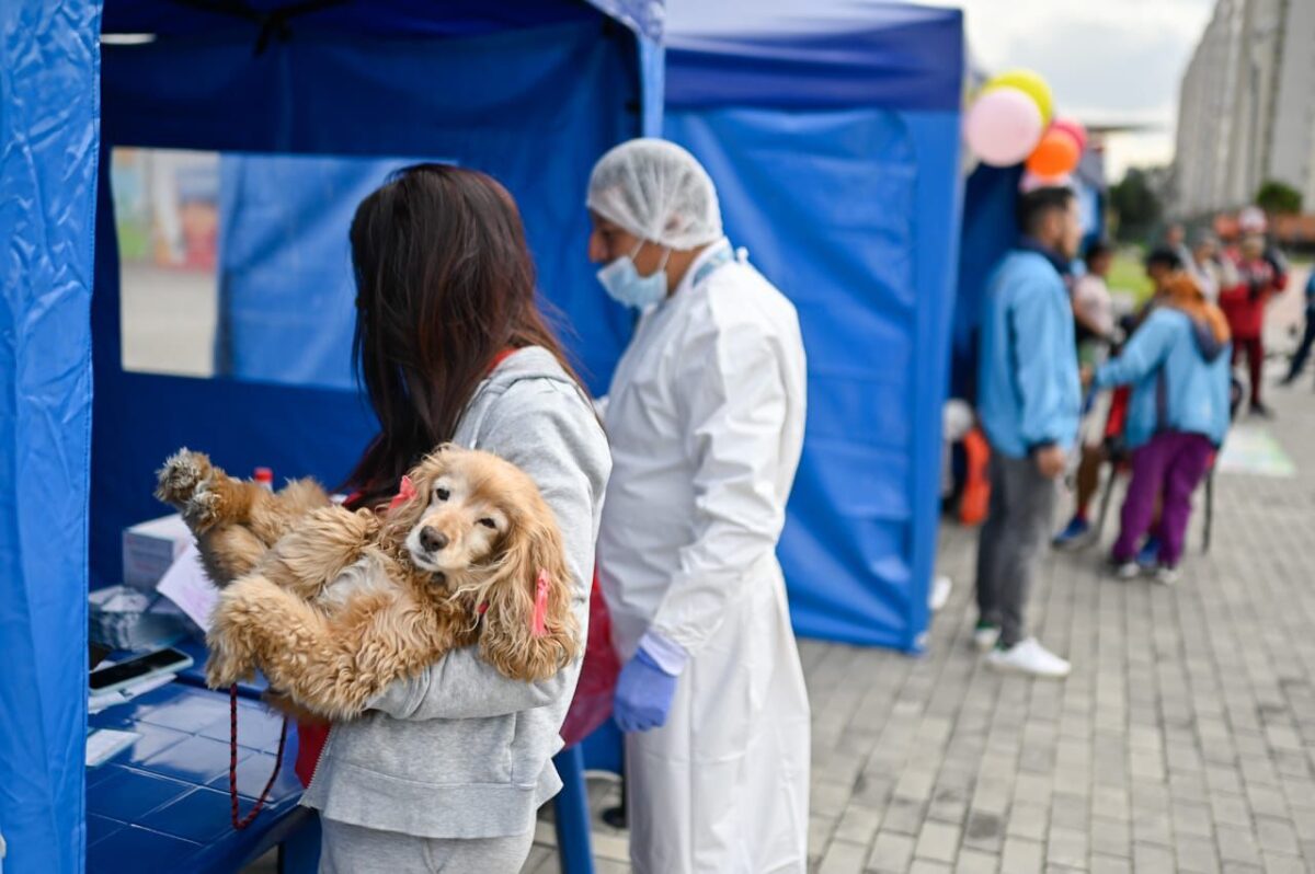 Secretaría de Salud vacunará gratis a perros y gatos en Expopet 2024 La vacunación animal es una práctica esencial para garantizar el bienestar y la salud de las mascotas, y Bogotá no es la excepción. Por eso, el Distrito estará vacunando a las mascotas gratis durante la feria Expopet 2024. En Q'HUBO Le contamos todo lo que debe saber.