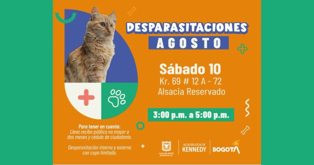 ¡Aproveche! Habrá jornada gratuita de desparasitación para su mascota en Kennedy La jornada de desparasitación se realizará este sábado 10 de agosto. Estos son los requisitos para participar.