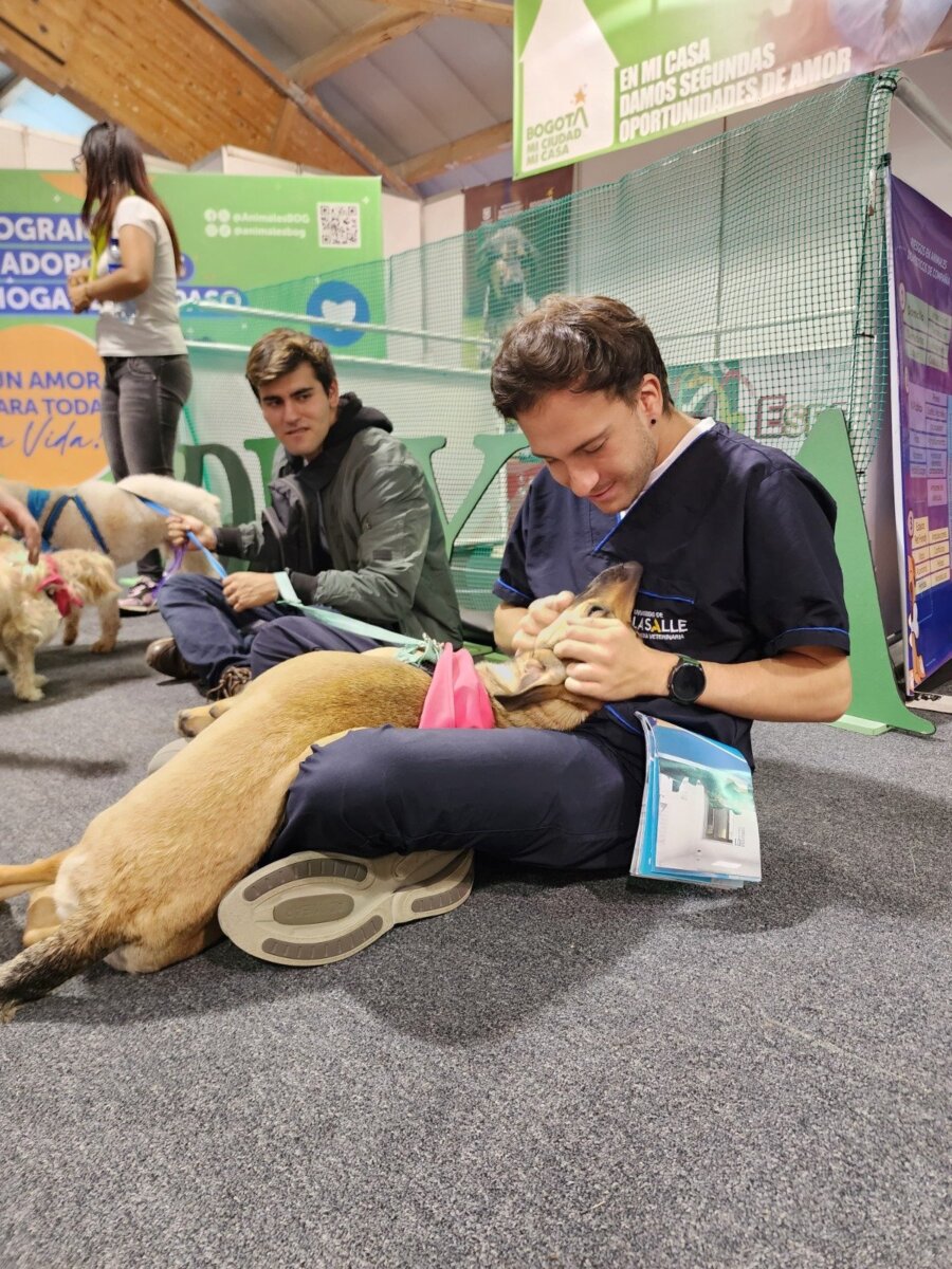 Éxito en el primer día de feria Expopet El Instituto Distrital de Protección y Bienestar Animal (IDPYBA) concluyó con éxito su primer día de participación en Expopet, la feria de mascotas más importante del país. Ubicado en el stand 506 del pabellón 3, el IDPYBA se convirtió en el centro de aprendizaje, pedagogía y comunicación, ofreciendo a los visitantes una experiencia enriquecedora y llena de amor por los animales.