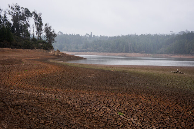 ¿Se endurecerá el racionamiento de agua en Bogotá?: esto dijo Acueducto Natasha Avendaño, gerente de Acueducto, aclaró las dudas sobre el racionamiento de agua en Bogotá y las medidas que se tomarán frente a las bajas lluvias que se registran en el sistema Chingaza.