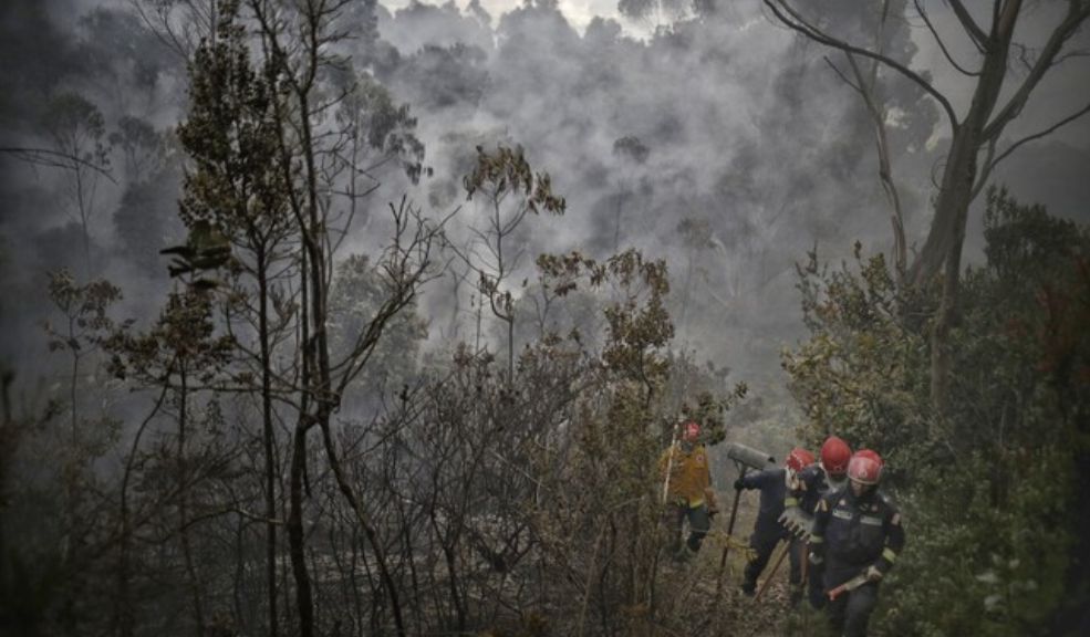 Cierran los senderos ecológicos de los cerros orientales por riesgo de incendios forestales La Alcaldía de Bogotá y Acueducto anunciaron el cierre temporal de los senderos ecológicos ubicados en los cerros orientales, con el fin de mitigar los posibles incendios forestales.