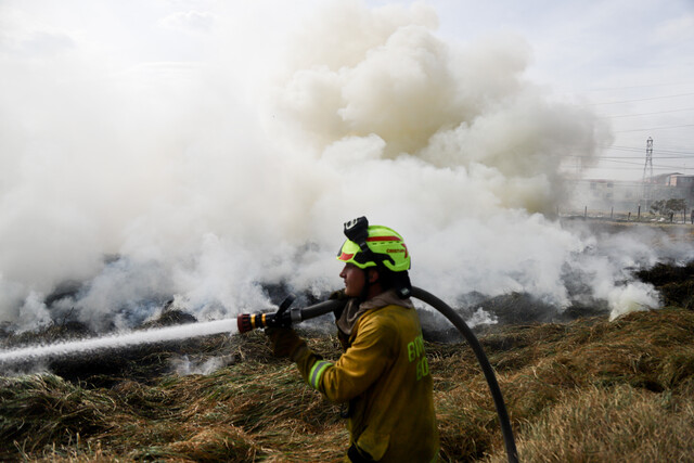 Colombia está en llamas: hay 9 incendios forestales activos en el país Al menos 9 incendios forestales permanecen activos en dos departamentos del país, a raíz de las altas temperaturas y la sequía que ha llevado a la devastación de aproximadamente 7.318 hectáreas de vegetación, de acuerdo al informe más reciente de la UNGRD.