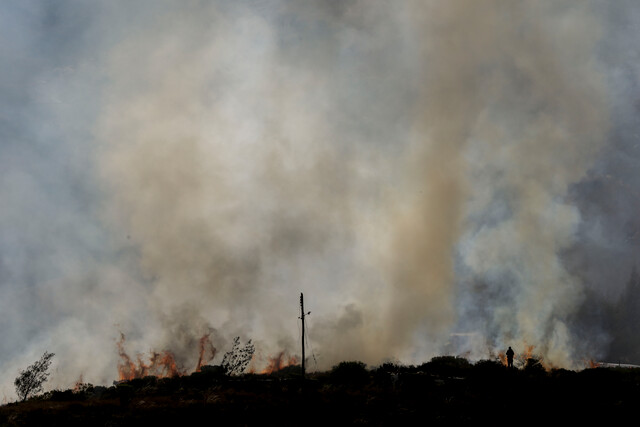 Defensoría exige acciones urgentes ante la crisis de incendios forestales en Colombia La funcionaria subrayó la urgencia de tomar medidas preventivas para proteger las comunidades y sus ecosistemas de los incendios.