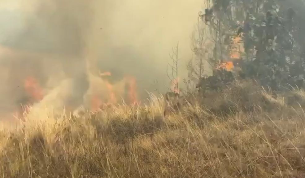 Hay 25 incendios forestales activos en Colombia, según la UNGRD El último informe presentado por la Unidad Nacional para la Gestión del Riesgos de Desastres (UNGRD) reveló que el país tiene 25 incendios forestales activos, de los cuales solo tres han sido controlados.