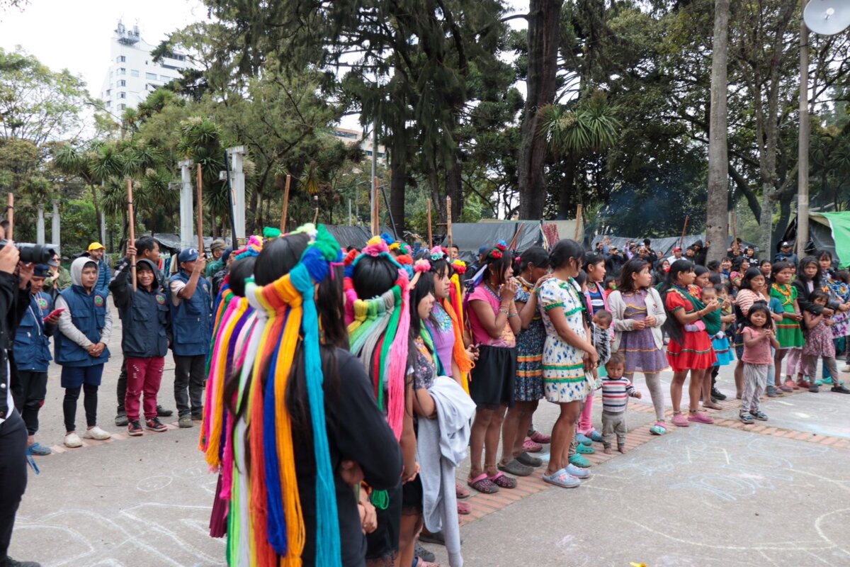 Así será el retorno del pueblo Emberá desde el Parque Nacional a sus territorios Desde las 8:00 a.m., las familias Emberá, junto con la Unidad para las Víctimas, realizarán un acto espiritual de despedida y una olla comunitaria como parte del proceso de retorno.