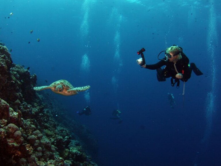 COP16: Anunciaron donación de 51 millones de dólares para la creación de áreas marinas protegidas Este anuncio representa uno de los mayores compromisos filantrópicos en este ámbito y busca impulsar la designación de zonas marinas fuera de las jurisdicciones nacionales, las cuales abarcan cerca de dos tercios de los océanos del planeta.