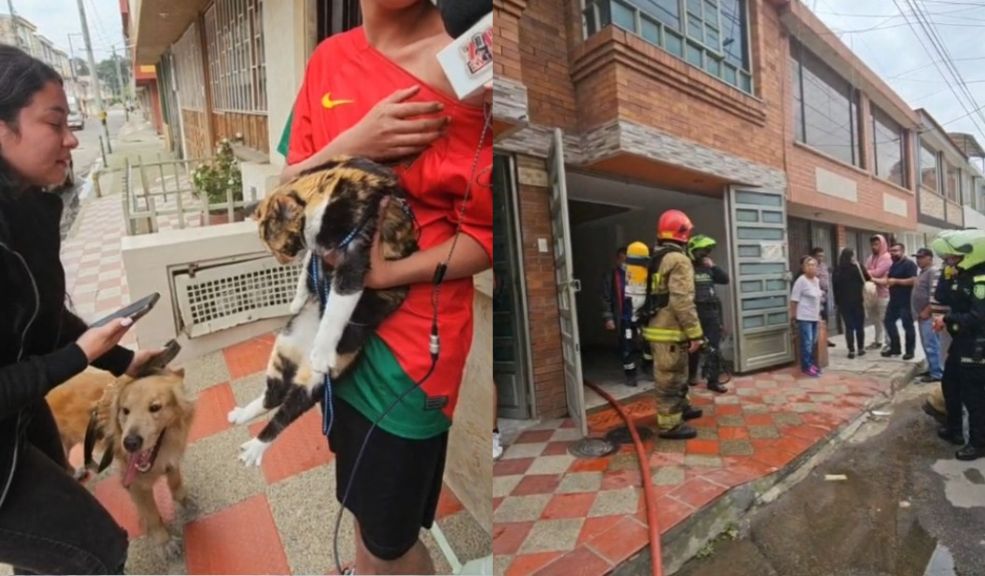 EN VIDEO: Bomberos rescataron un perrito y un gato de un incendio en una casa de Zipaquirá En la mañana de hoy 7 de octubre, los bomberos de Zipaquirá llevaron a cabo un exitoso rescate de un perro y un gato atrapados en un incendio que se registró en una vivienda del barrio Esperanza, en dicho municipio.