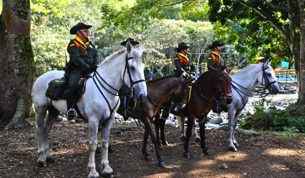 Esta es la ceremonia que premia a los mejores policías del país La Fundación Corazón Verde celebró recientemente la vigésima cuarta entrega del Premio Corazón Verde al Mejor Policía de Colombia, un reconocimiento que ha estado vigente durante más de 20 años.