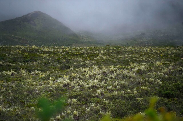 Gobierno y más de 1.000 habitantes de Sumapaz acuerdan protección para el páramo Durante tres días, y a través de mesas de trabajo, se buscó concretar la definición de la hoja de ruta para la participación de la región en la COP16, que se llevará a cabo en Cali a partir del 21 de octubre.