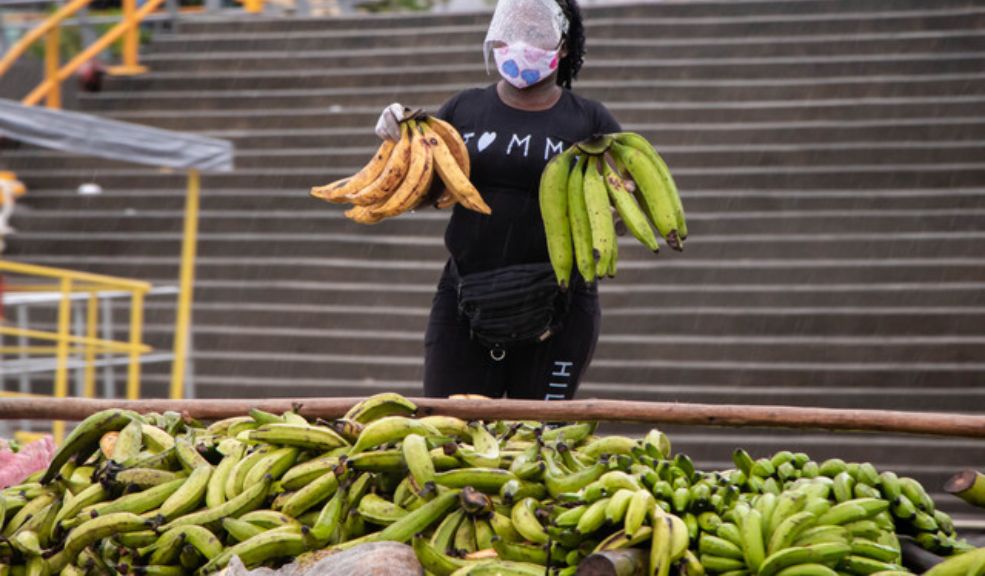 Secretaría de Desarrollo Económico lanza estrategia para reducir el desperdicio de alimentos Bogotá ha lanzado la estrategia "Yo Contribuyo, No Desperdicio" con el objetivo de reducir la pérdida y el desperdicio de alimentos en la ciudad, en el marco del mes de la Reducción de Pérdidas y Desperdicios de Alimentos (PDA).