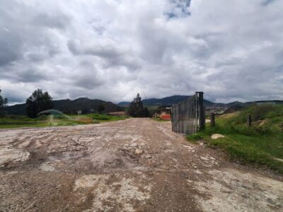 Inicio Nuevo Los acuerdos multilaterales, fruto de negociaciones de alto nivel, impactarán en la protección de la biodiversidad mundial.