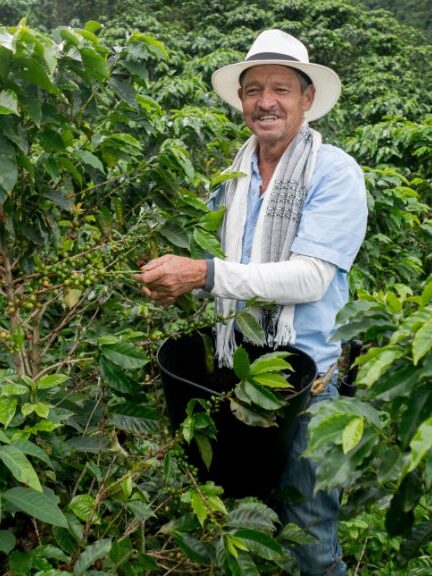 Buenas noticias para caficultores: el precio del café alcanza su nivel más alto en la última década El precio de la carga de café colombiano alcanzará los $2.505.000, un récord no visto en 13 años, impulsado por la baja oferta global y una cosecha favorable, beneficiando a los productores y la economía nacional.