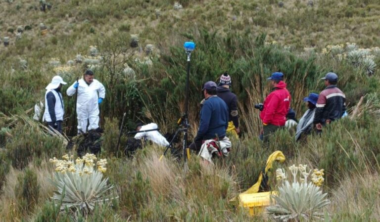 Inicio Nuevo Los acuerdos multilaterales, fruto de negociaciones de alto nivel, impactarán en la protección de la biodiversidad mundial.