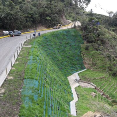 Inicio Nuevo Los acuerdos multilaterales, fruto de negociaciones de alto nivel, impactarán en la protección de la biodiversidad mundial.