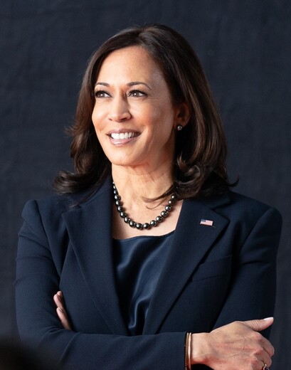 Estas son las principales propuestas de Kamala Harris y Donald Trump Hoy los estadounidenses van a las urnas para elegir a su presidente. La disputa es entre Donald Trump y Kamala Harris.