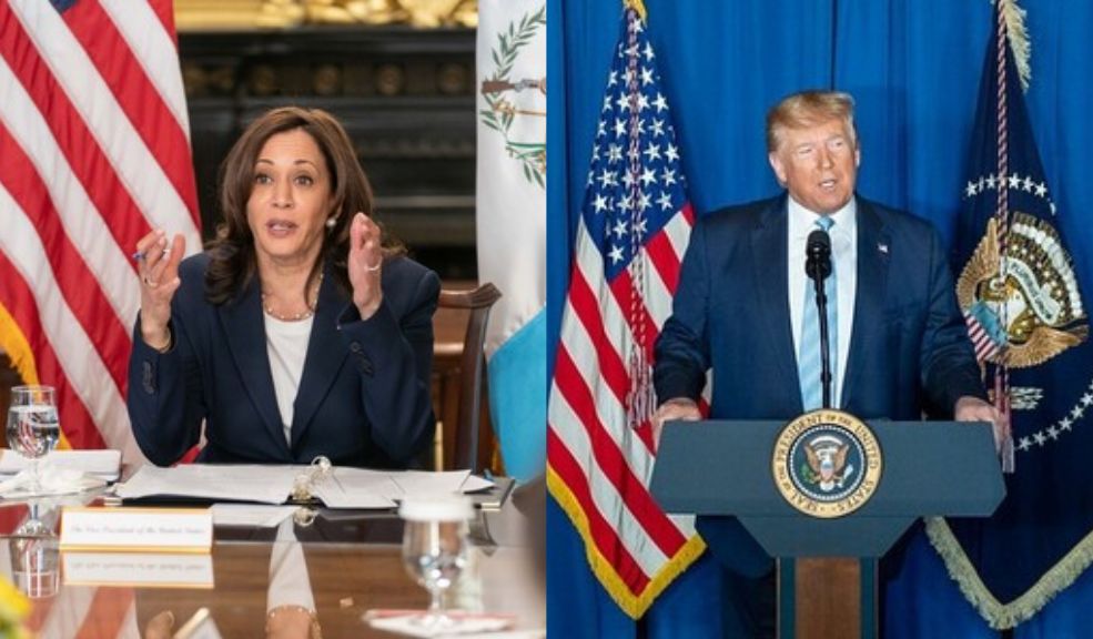 Estas son las principales propuestas de Kamala Harris y Donald Trump Hoy los estadounidenses van a las urnas para elegir a su presidente. La disputa es entre Donald Trump y Kamala Harris.