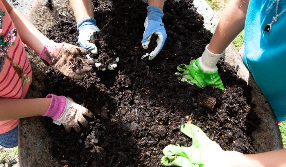 Gobierno elimina aranceles para insumos agropecuarios importados Colombia ha decidido eliminar temporalmente el arancel a varios insumos agropecuarios importados, medida que tendrá una duración de un año y estará sujeta a una revisión posterior.