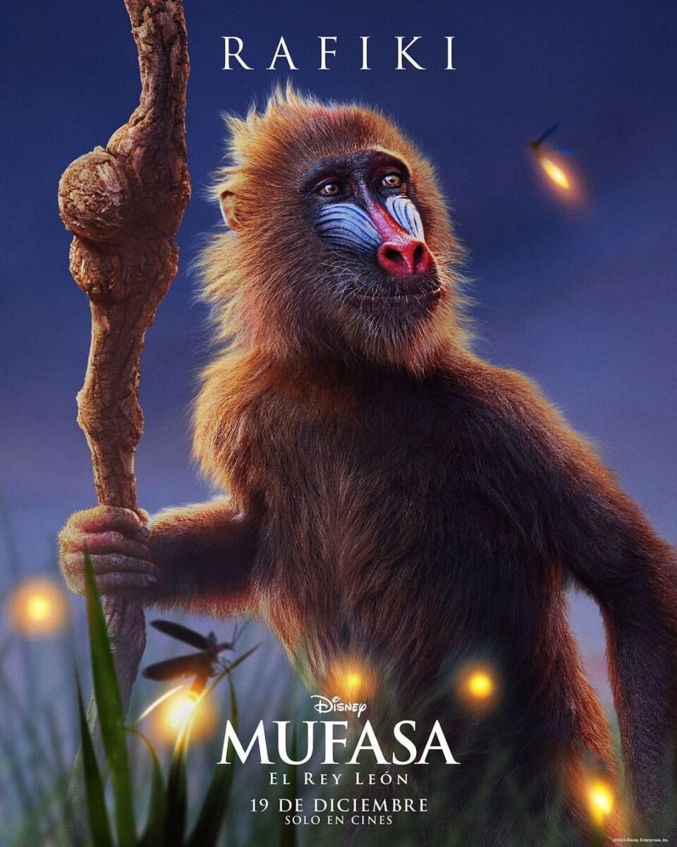 'Mufasa: El Rey León' llega a cines este diciembre La película, que se centra en la vida temprana de Mufasa, revela las raíces y el viaje que lo llevaron a convertirse en el rey legendario que todos conocemos.