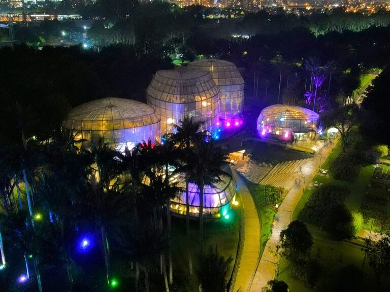 El Jardín Botánico inicia la temporada navideña con funciones de cine al aire libre El Jardín Botánico de Bogotá ha dado inicio a la temporada navideña con una oferta de actividades para toda la familia, destacando su compromiso con la sostenibilidad y la preservación ambiental.